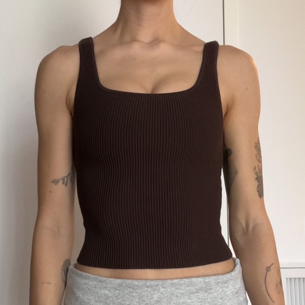 Aritzia Babaton Brown Tank